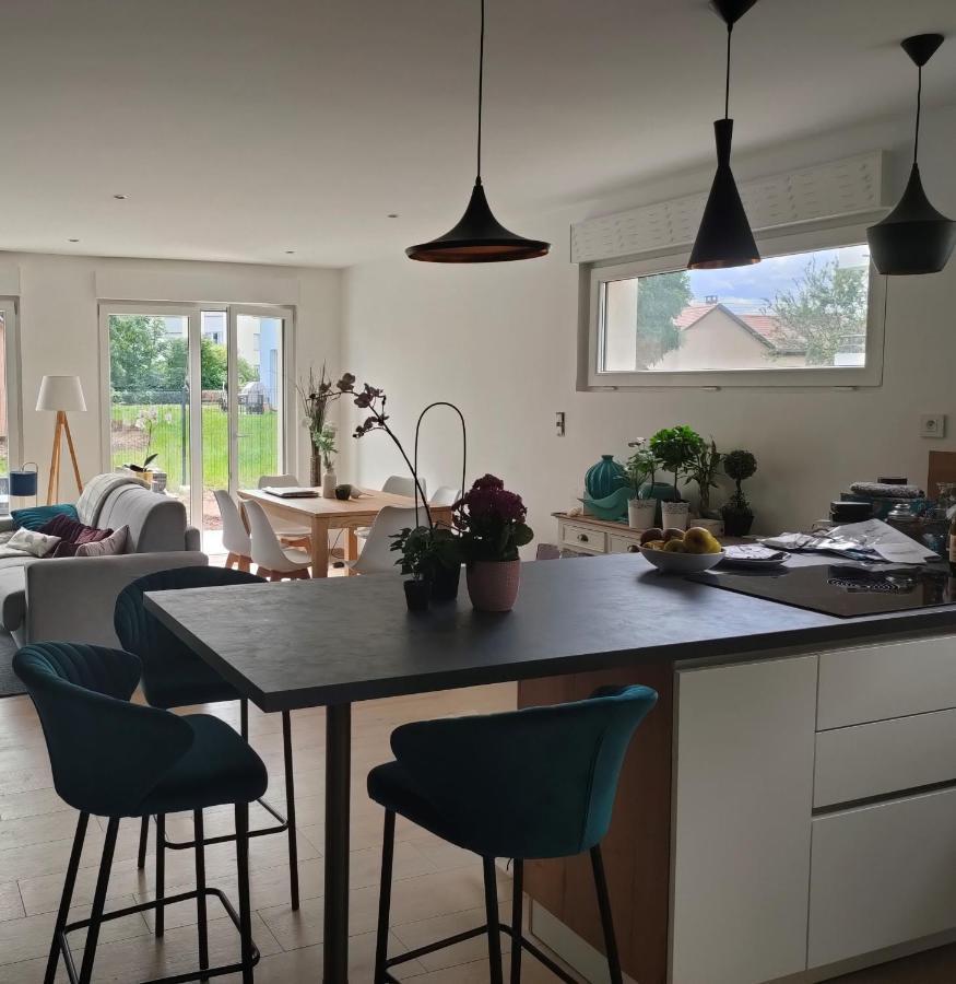 La Maison Bleue, A 20 Mn De Strasbourg, Sur La Route Des Vins, Jusqu'A 6 Personnes, Sélestat Exteriér fotografie