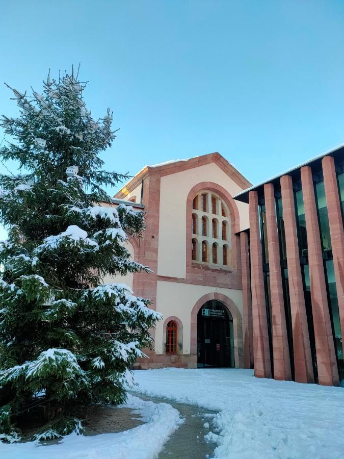 La Maison Bleue, A 20 Mn De Strasbourg, Sur La Route Des Vins, Jusqu'A 6 Personnes, Sélestat Exteriér fotografie
