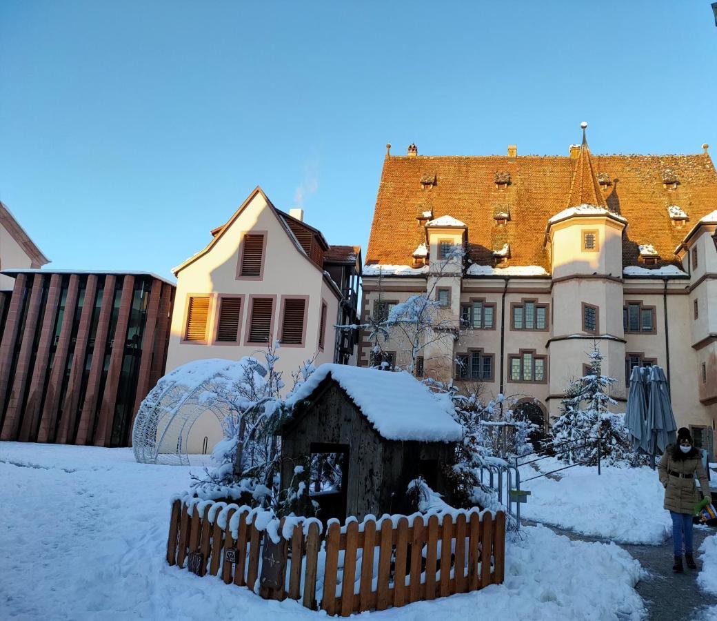 La Maison Bleue, A 20 Mn De Strasbourg, Sur La Route Des Vins, Jusqu'A 6 Personnes, Sélestat Exteriér fotografie